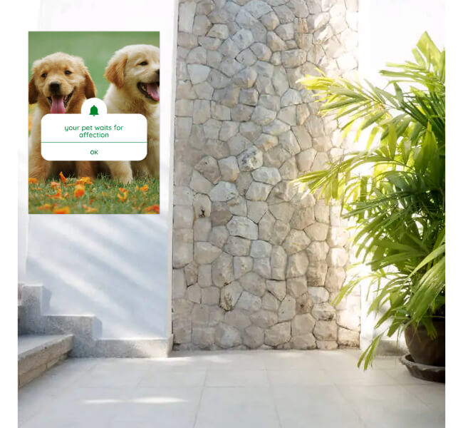 @php echo $getProductCategoryInfoListVal->a2z_product_list_name;?>